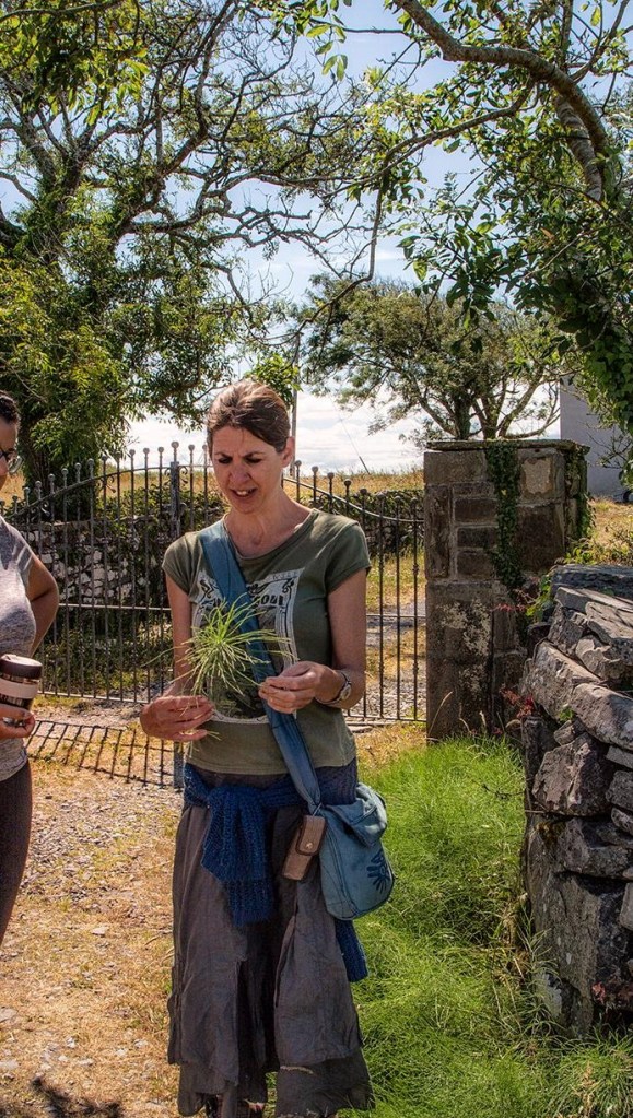 foraging, herbal pharmacy,